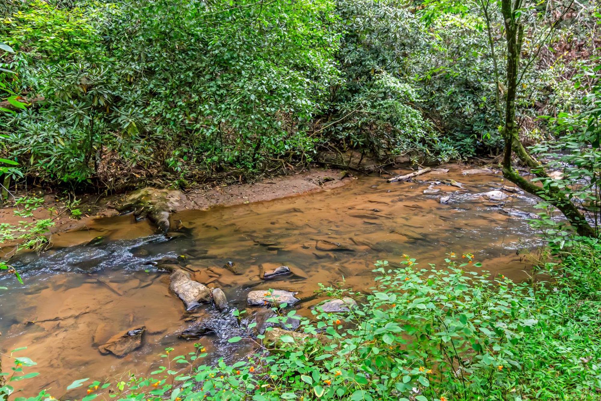 Amazing Creek View Cabin W/ Hot Tub, Firepit & Pool Table Ellijay Exterior photo