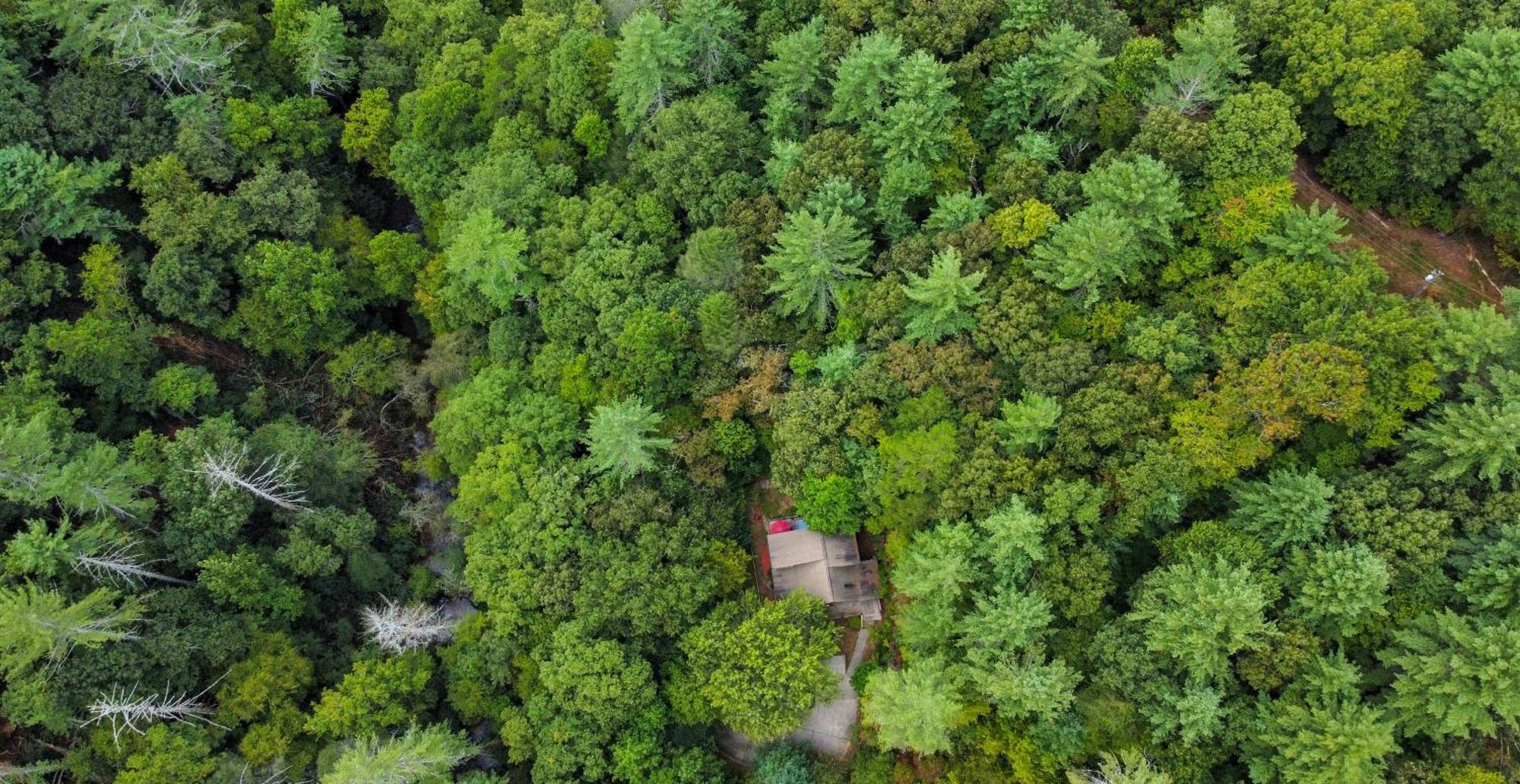 Amazing Creek View Cabin W/ Hot Tub, Firepit & Pool Table Ellijay Exterior photo